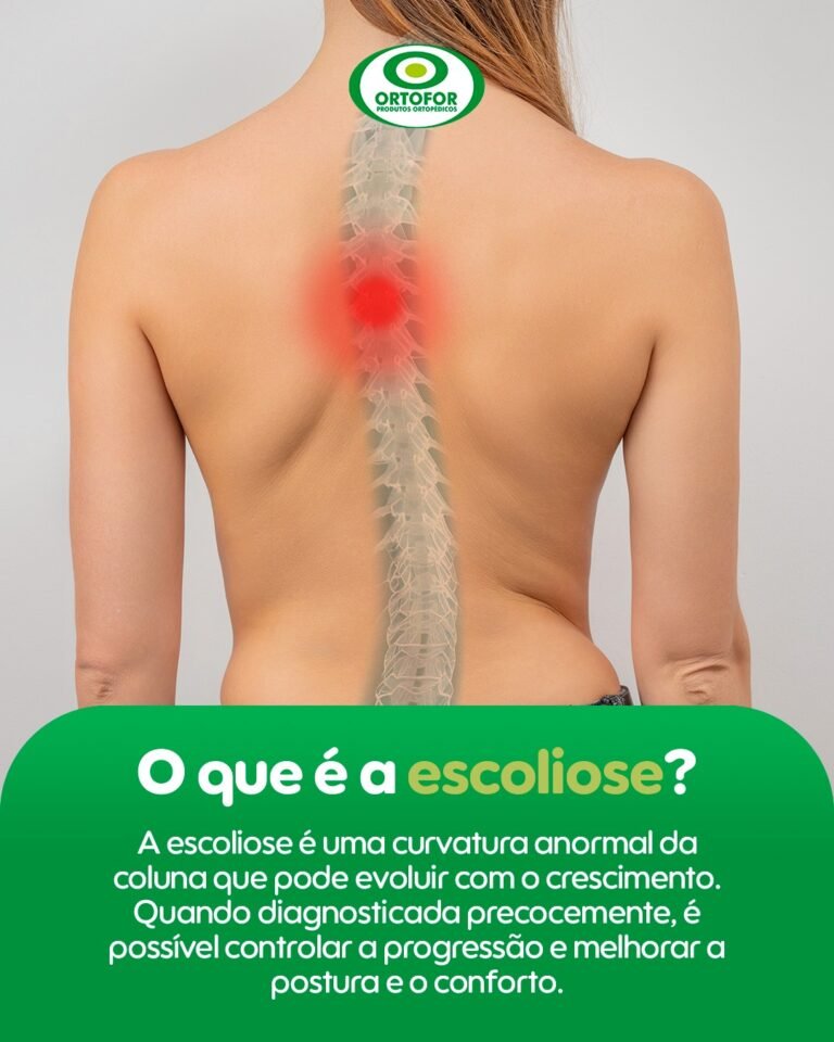 WhatsApp Image 2026-01-27 at 16.45.54 (1)