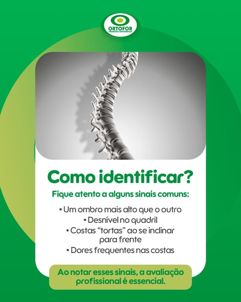 WhatsApp Image 2026-01-27 at 16.45.54 (2)